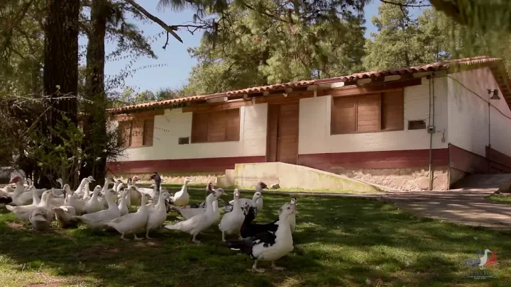 Granja La Petite Ferme